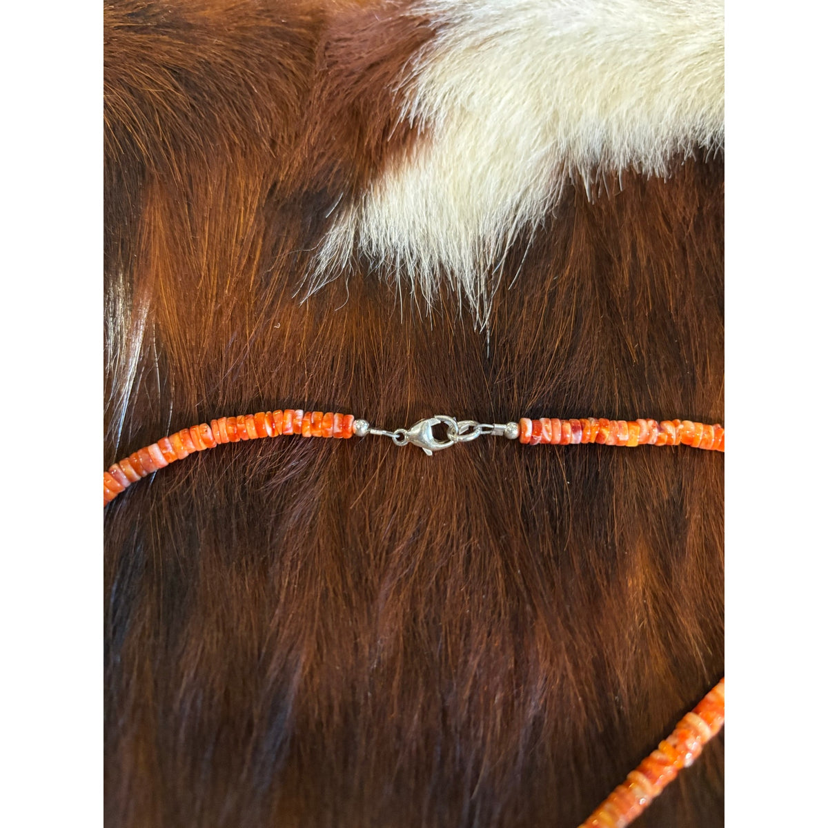 Orange Spiny Oyster Shell Heishi Necklace – 16-Inch Southwestern Style